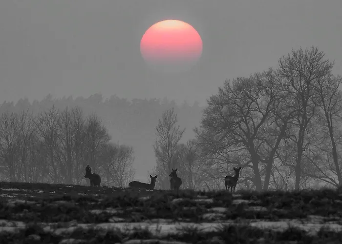 Poganty - Obora Gizycko